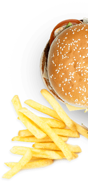 Fries Burger